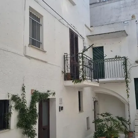 Cami בית נופש