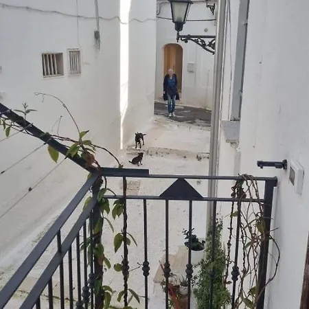 Cami בית נופש
