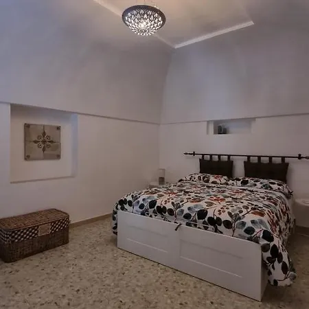 Cami